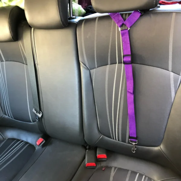 Solid Color Two-in-one Pet Car Seat Belt Nylon Lead Leash Backseat Safety Belt Adjustable Dogs Harness Collar Pet Accessories - Image 2