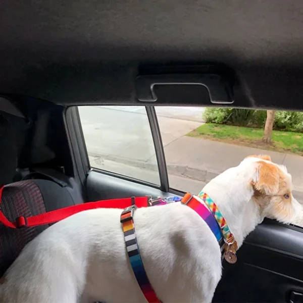 Solid Color Two-in-one Pet Car Seat Belt Nylon Lead Leash Backseat Safety Belt Adjustable Dogs Harness Collar Pet Accessories - Image 4