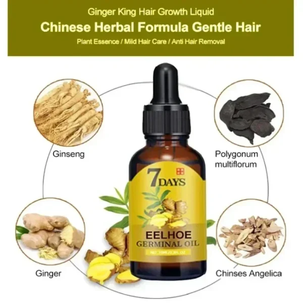 7 Day Rapid Growth Liquid Anti Hair Loss Ginger Growth Conditioning  Treatment Nourish Hair Growth Oil Scalp Care Serum Products - Image 6